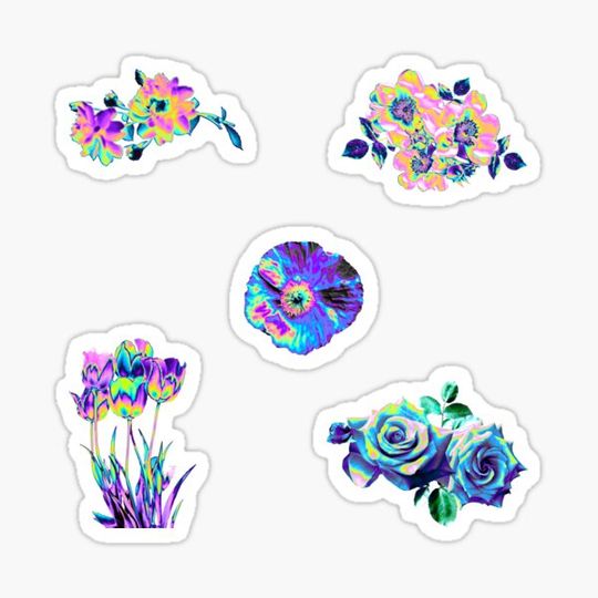 Discover New Holo Flower Assortment