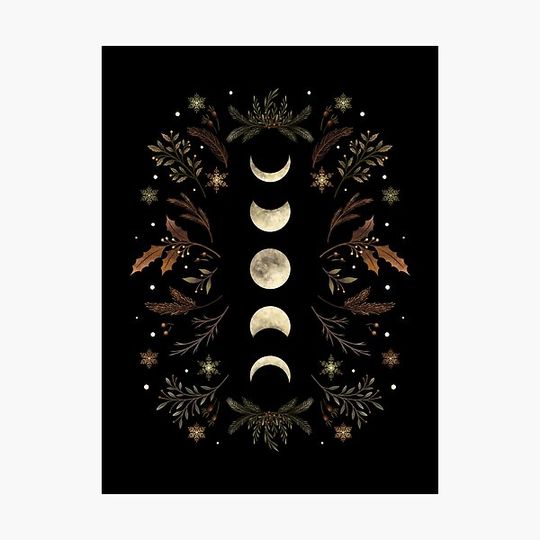 Discover Moonlit Garden-Winter Brown