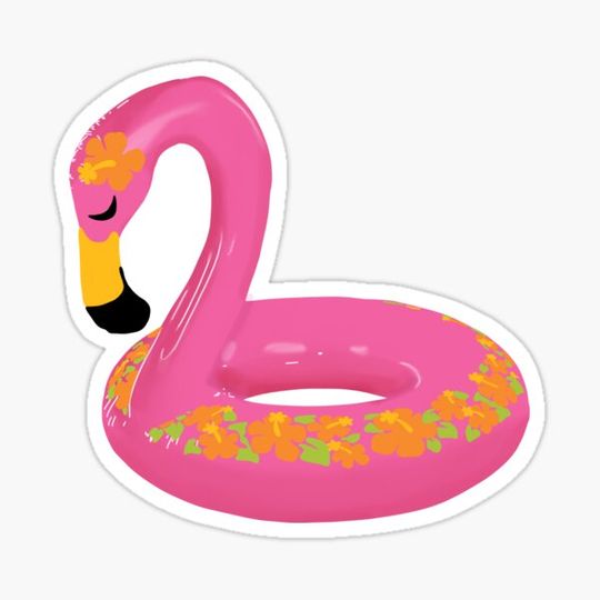 Discover Vsco pool float