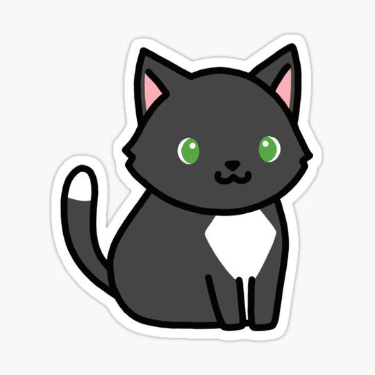 Discover Black Cat