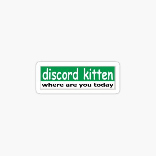 Discover discord kitten