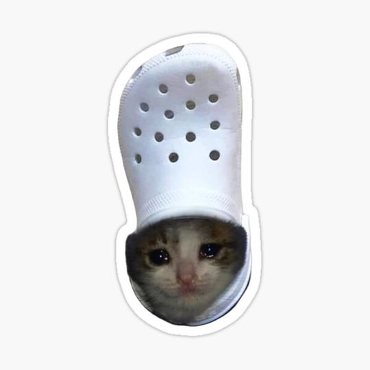Discover Croc Crying Cat Meme