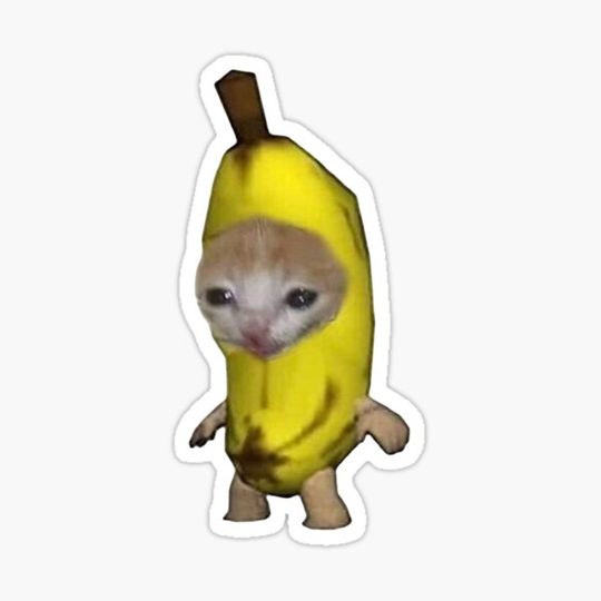 Discover Banana Cat