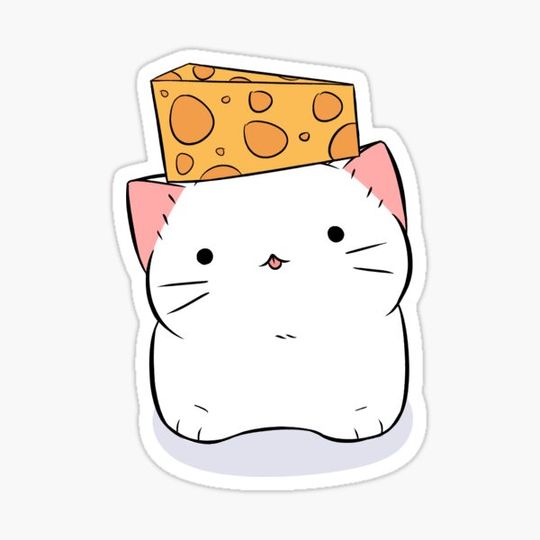 Discover Cheese Hat Kitten