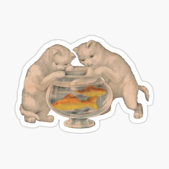 Discover Little white kitties fishing