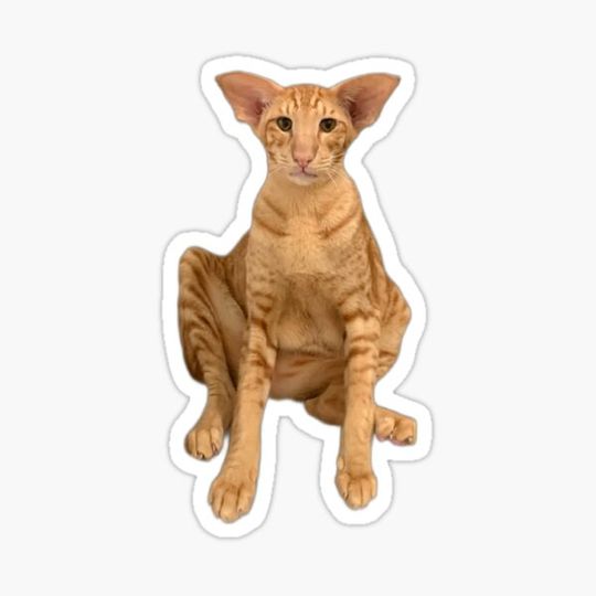 Discover Derpy Keebler