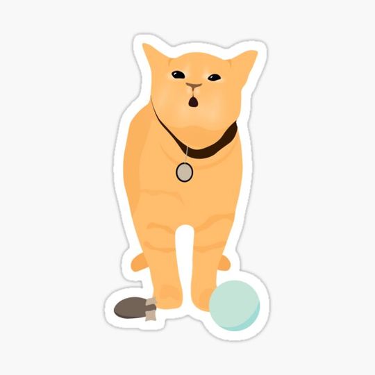 Discover I Go Meow Cat