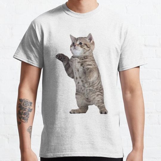 Discover Grey Tabby Kitty
