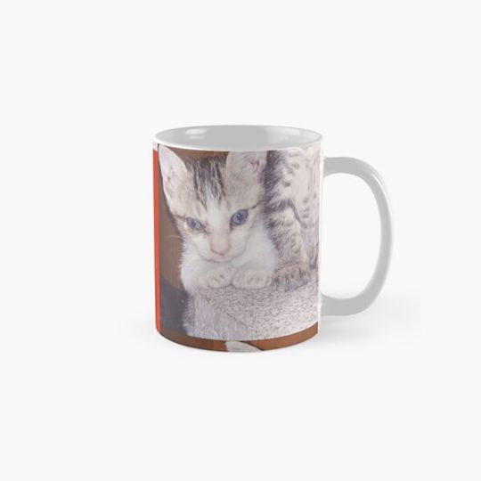 Discover CAT