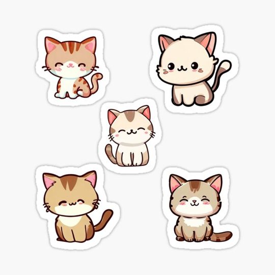 Discover cute kitty