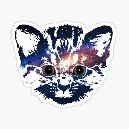 Discover galaxy cat