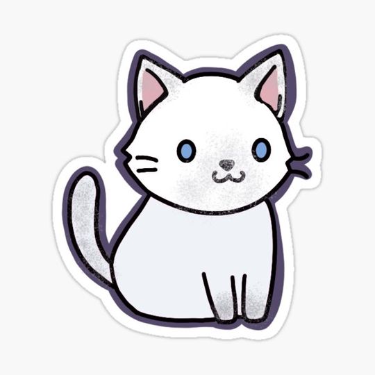 Discover white kitty