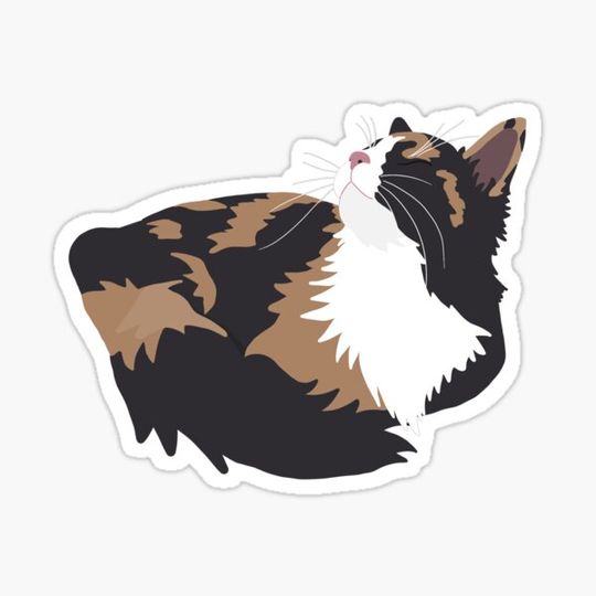 Discover Calico Cat Nap