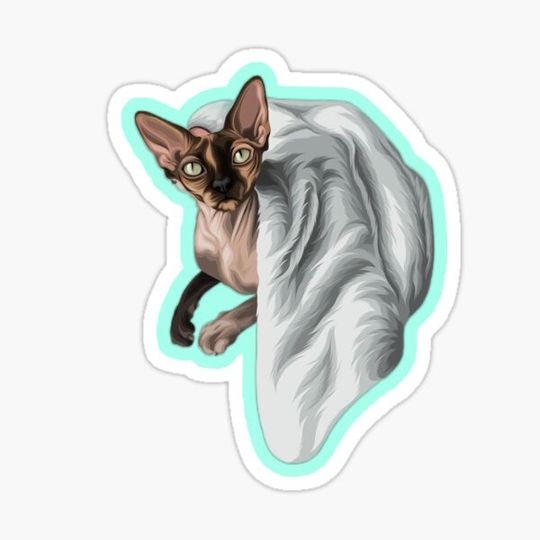 Discover Cats