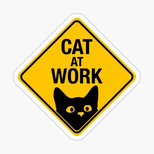 Discover Curious Cat at Work - Cat Sign