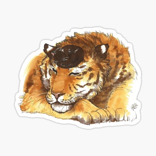 Discover Tiger and Kitten