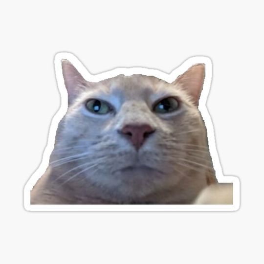 Discover Stuart Duart Selfie Sticker