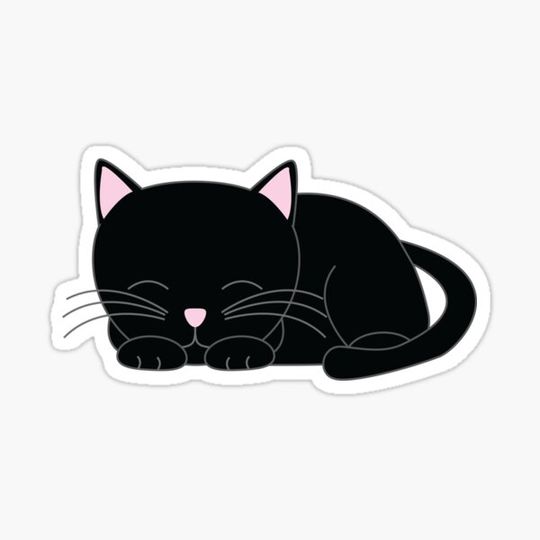Discover Sweet Little Black Cat