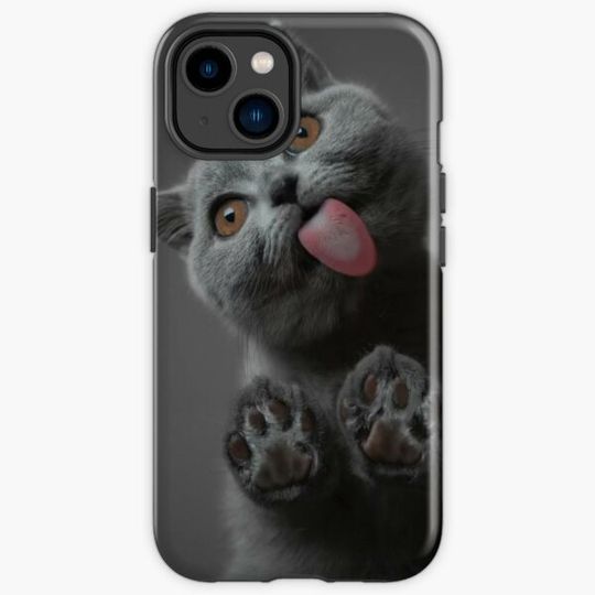 Discover Cat aesthetic