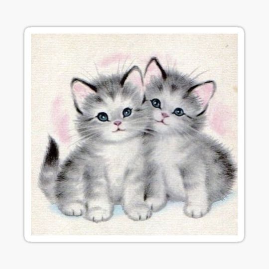 Discover Cute Kittens