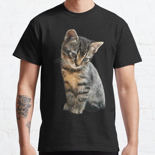 Discover Baby Cat
