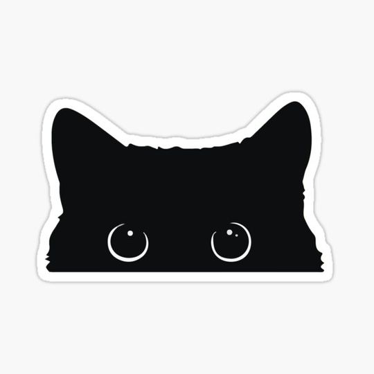 Discover Cute Black Cat