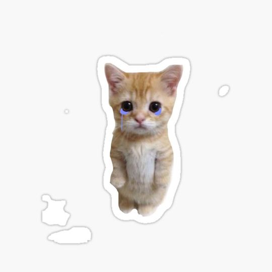 Discover El Gato Cat Crying