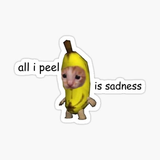 Discover all i peel is sadness cat meme