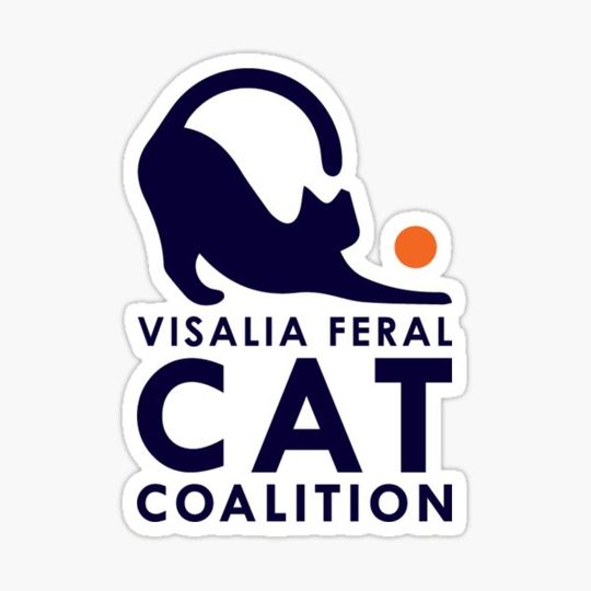 Discover VFCC Logo