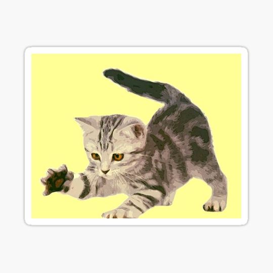 Discover Сolor print tabby kitten