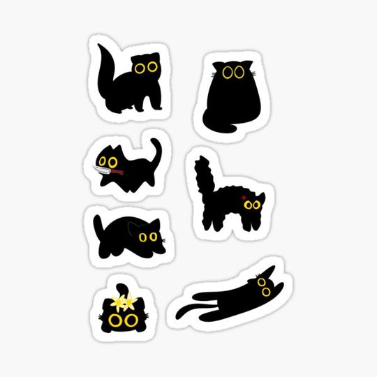 Discover Black Cat Set
