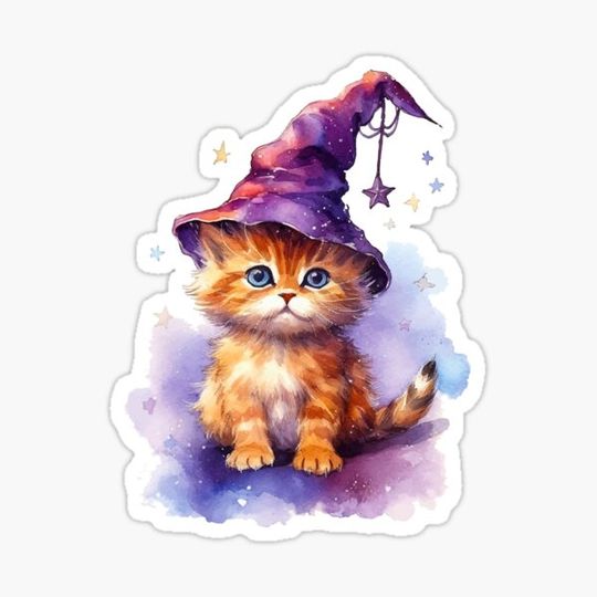 Discover Kitty Wizard