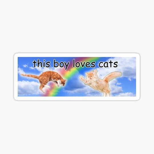 Discover This boy loves cat bumper sticker