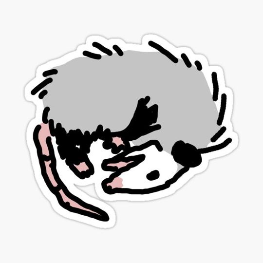 Discover Small Possum Man-Play Dead