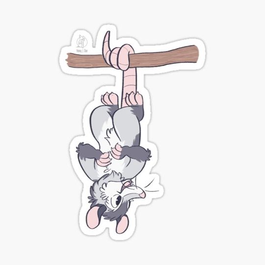 Discover Opossum