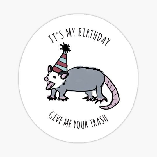 Discover It's My Birthday Possum Party