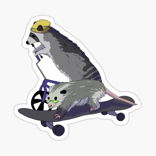 Discover Racoon and opossum on skateboard