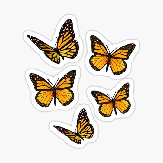 Discover Yellow Butterfly Pack
