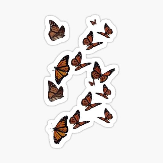 Discover Butterfly set