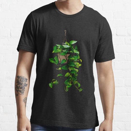 Discover Hanging Pothos Plant