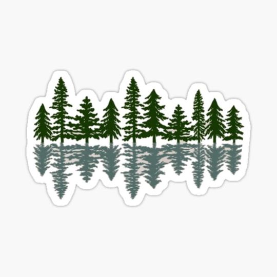 Discover Pine reflection