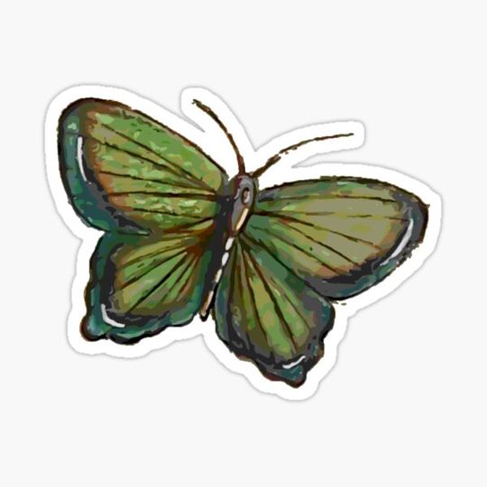 Discover green butterfly