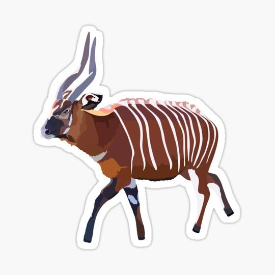 Discover M is for Mountain Bongo