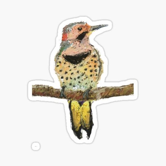 Discover Northern Flicker Chalk Pastel
