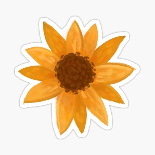 Discover Sunflower