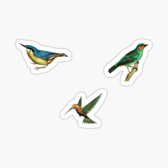 Discover sticker set vintage birds