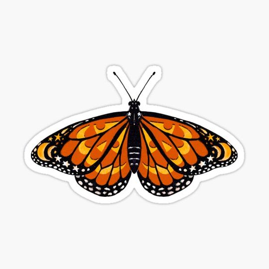 Discover Halloween Monarch