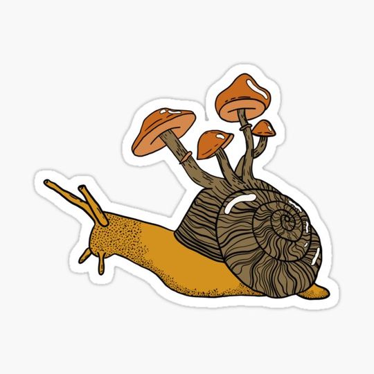 Discover Mushroom Snail