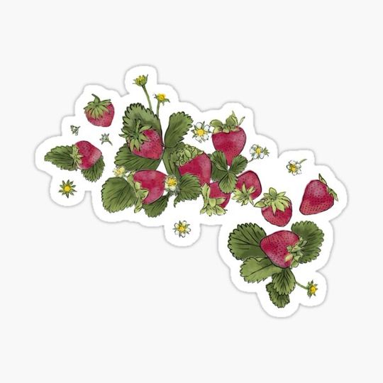 Discover Strawberries