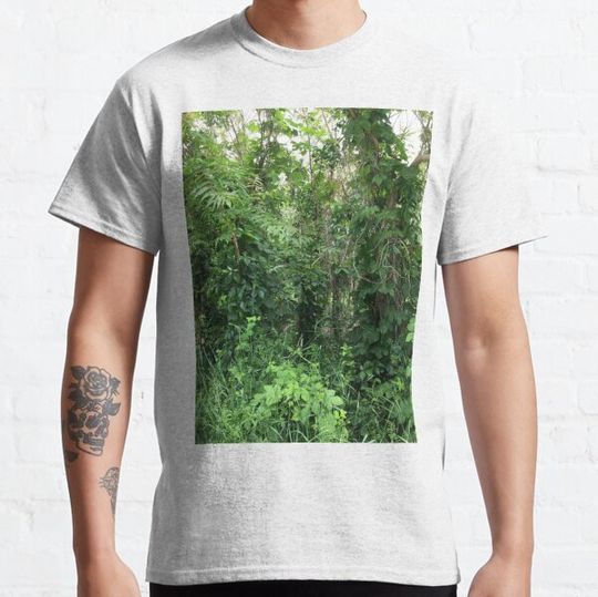 Discover plants